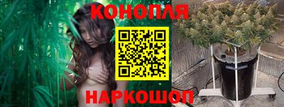 сатива Кулебаки