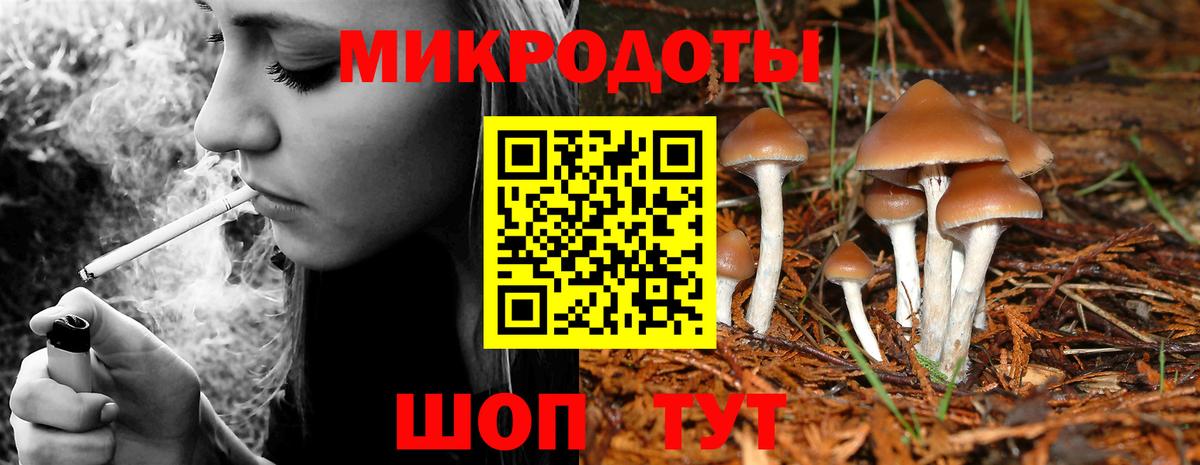 Алексеевка  купить наркоту  Вход с VPN  Галлюциногенные грибы Magic Shrooms 