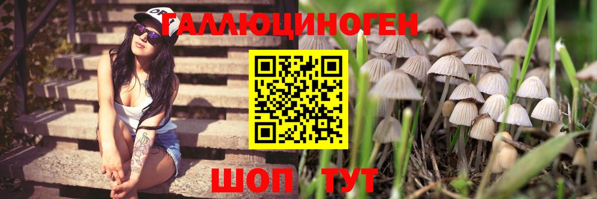 Галлюциногенные грибы Magic Shrooms Алексеевка